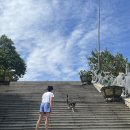 아이엠휘트니스스파 | 헤일리 in 푸꾸옥 1-2. 이 호사,, 제가 다 누려도 되는 걸까요?🥹 (이어지는 모닝투어, 킹콩마트, 호국사...