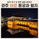 진동리주차장2(주차장 내) | 경주 야경 명소 동궁과 월지 후기 (단점, 주차장, 입장료)