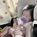 달다온케이크 | [아가 100일 파티] 부천 달다온케이크 100일떡 / 경복궁 송도본점