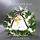 서구-02-63 이미지