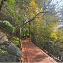 걷기의 미학과 도시 이미지