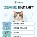 석적동물병원 이미지