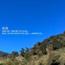 인우여행사