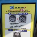 동전축산 | 서울 근교 1시간 경기도 가평 새연카라반 글램핑 미온수 수영장 힐링 제대로 하고 온 후기