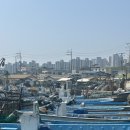 영강길 | 명지동 회 용꿈회포장센터 도다리회 개불 먹고온 후기