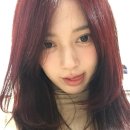 하이레드 | 부천 신중동 미용실 플럼레드 염색 하이 레이어드 컷 후기 카이정헤어 부천신중동점 한결 디자이너