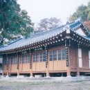 유림-1155 이미지