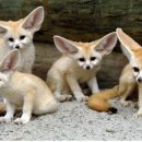 전주동물원 이미지