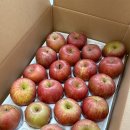 반듯한 멍이 이미지