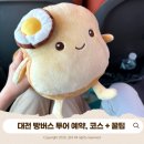 대전 빵버스 투어(빵티칸 순례) 예약방법, 꿀팁 포함 내돈내산 후기!