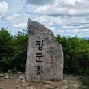 태백산 등산코스 추천｜유일사 주차장~천제단~당골광장 철쭉 산행 후기