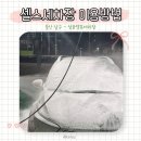 삼호셀프세차장