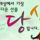지음 Daum카페