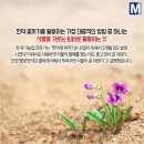 약령시허브그린협동조합 이미지