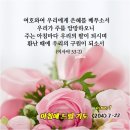 2023-주204 이미지