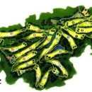 라데나 골프클럽 이미지