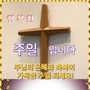 샬롬 Daum카페