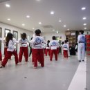 고려용호태권도 이미지