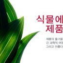 **프랑스 스킨케어 NO.1 브랜드 클라란스 사원모집** 이미지