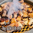 보성녹돈갈비 | 인천 송도 보성녹돈 녹돼야지 돼지갈비 생갈비 맛집