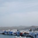 리틀미코노스3 이미지