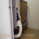 지아컴퍼니 이미지