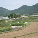 영광 대마 성산리 지석묘군 이미지