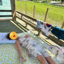 나리경로당 이미지