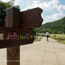 효석문학100리길 제1구간 Daum카페
