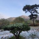 외정공원 이미지