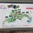 광치자연휴양림 이미지