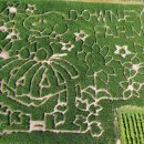 초월농장 이미지