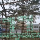 예술애드 이미지