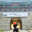 강화도 전등사 반려견 동반 후기 🐶 수국부터 템플스테이까지 천천히 둘러보고 왔어요