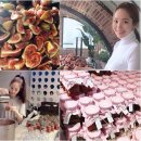 메이쎈 이미지