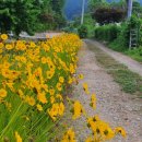 견생폼사 이미지