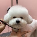 또또살롱 이미지