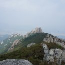 양지-3577 이미지