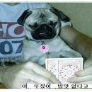 개편한세상 이미지