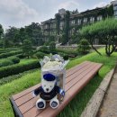 연세대학교 교육대학원 이미지