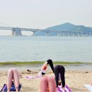 아누요가 네이버블로그