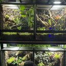 어반네이처 이미지