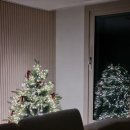 수정-32 | 만 32세 인공수정 1차 실패 후기(자궁외임신, MTX주사)