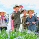 마룡농장 이미지