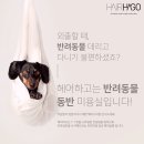 자연애견미용실 이미지