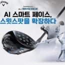 맥스골프클럽 이미지