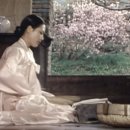 송&김약국 이미지