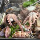 도원종합상사 이미지