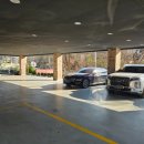 신봉1로-3 | 신봉외식타운맛집 코다리덕장 신봉점 묵은지코다리 추천