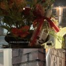 수원-0401 | 수원 행궁동 감성 와인바 추천 : 오브제 OBJET